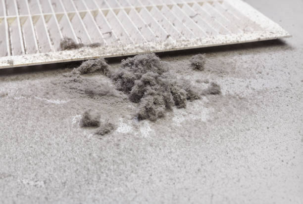 Best HVAC Duct Inspection Services  in Rutherford, TN