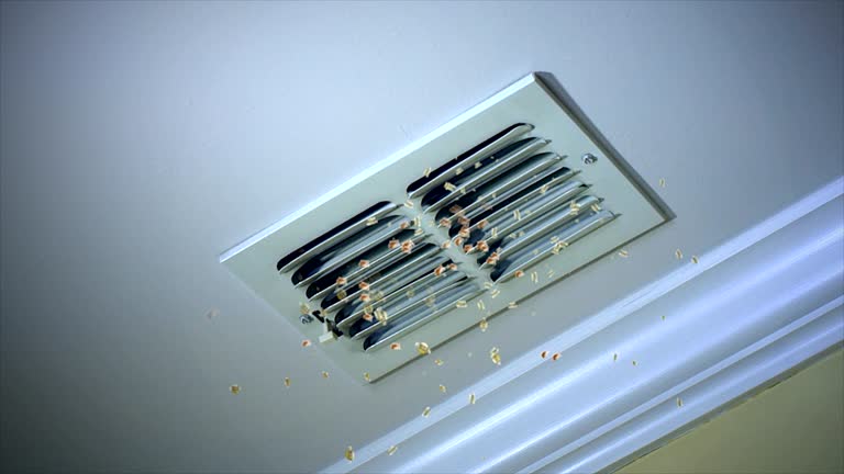 Best Best Air Duct Cleaning Company  in Rutherford, TN