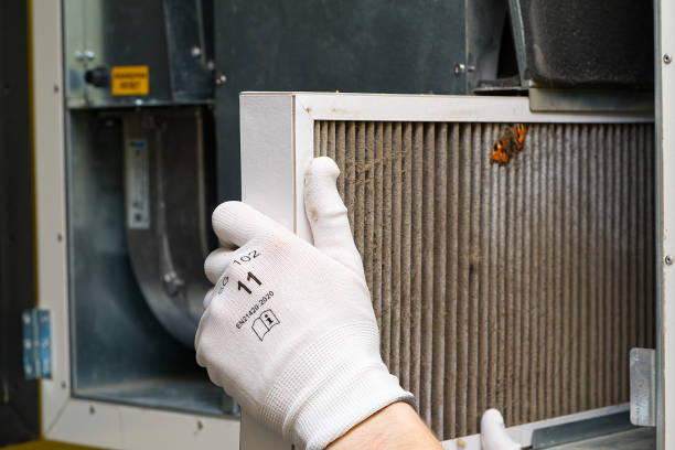 Best Professional Duct Cleaning Services  in Rutherford, TN